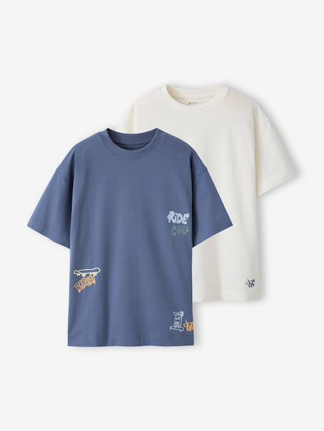 Set van 2 T-shirt met korte mouwen grijsblauw - vertbaudet enfant 