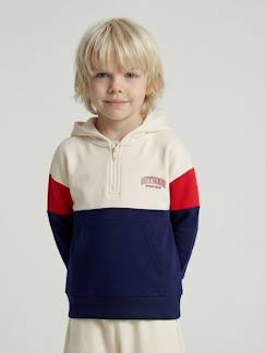 - sweater  met capuchon voor jongens met colourblocking
