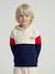 sweater  met capuchon voor jongens met colourblocking bordeauxrood+rood - vertbaudet enfant 