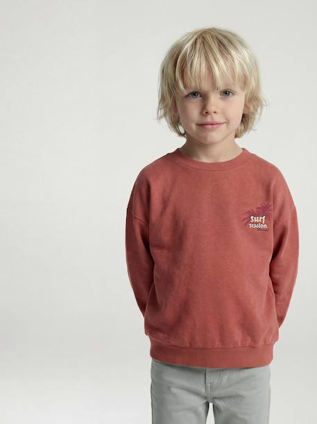 Sweater met ronde hals voor jongens met lange mouwen pastelgeel+rozenhout - vertbaudet enfant 