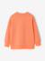 Sweater met ronde hals en lange mouwen blauwgroen+lichtgeel+mango - vertbaudet enfant 
