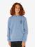 Sweater met capuchon voor jongens grijsblauw - vertbaudet enfant 
