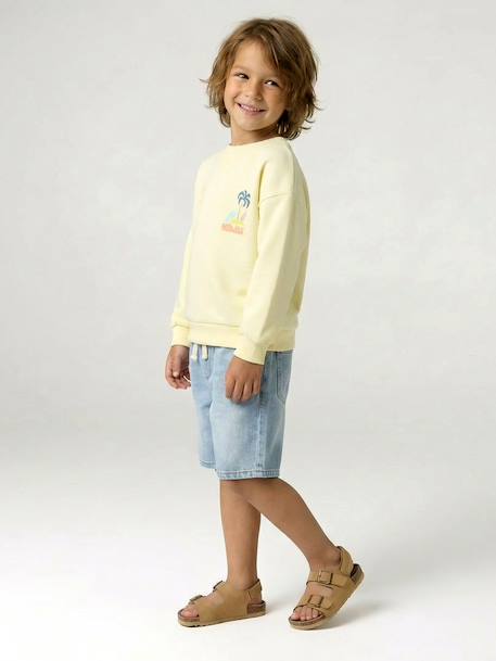 Sweater met ronde hals en lange mouwen blauwgroen+lichtgeel+mango - vertbaudet enfant 