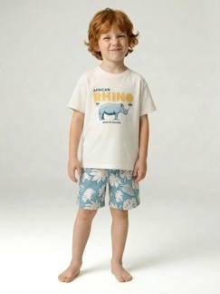 -Set T-shirt + short jongens katoen