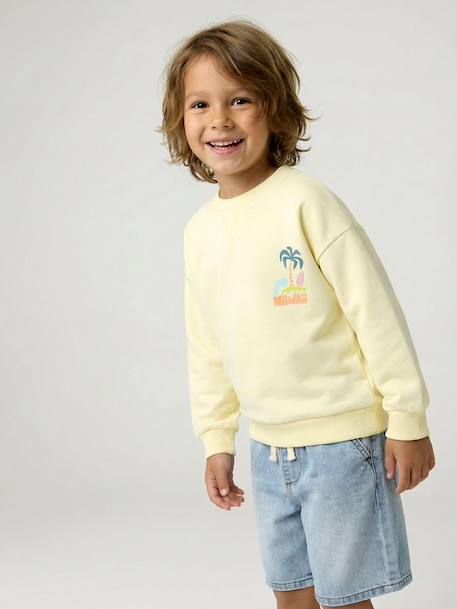 Sweater met ronde hals en lange mouwen blauwgroen+lichtgeel+mango - vertbaudet enfant 