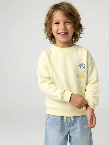 Sweater met ronde hals en lange mouwen blauwgroen+lichtgeel+mango - vertbaudet enfant 