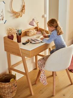-Bureau eerste schooljaar Vintage