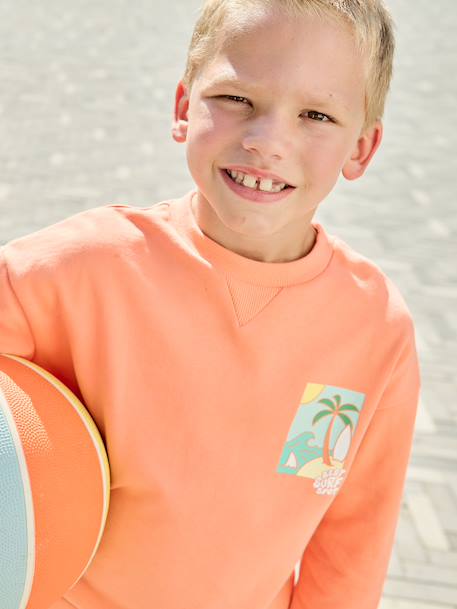 Sweater met ronde hals en lange mouwen blauwgroen+lichtgeel+mango - vertbaudet enfant 