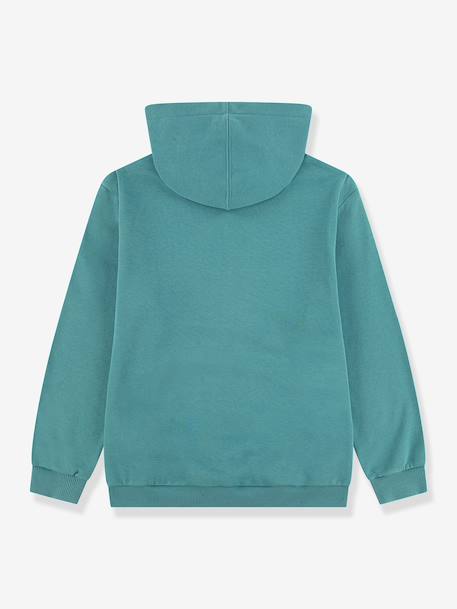 Sweater met capuchon voor jongens groen - vertbaudet enfant 