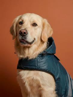 -Waterdichte mantel voor honden