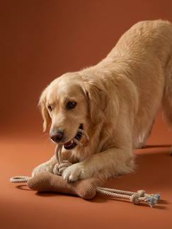 Linnengoed en decoratie-Lot benodigdheden / toebehoren hond