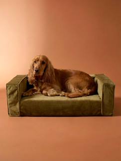 -Middelgrote fluweel / velours hondensofa