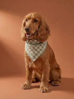 Linnengoed en decoratie-Bandanaslabbetje hond katoen