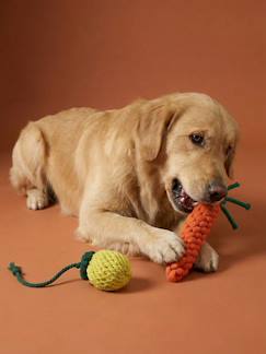 -Set van 2 touwspeelgoed voor honden met fruit