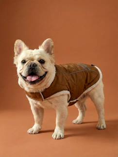 -Waterdichte mantel hond