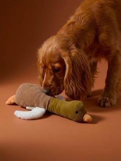 -Speelgoed hond multi texture eend