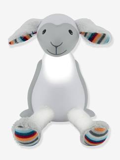 -Fin het schaap-nachtlampje en leesspeeltje ZAZU