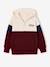 sweater  met capuchon voor jongens met colourblocking bordeauxrood+rood - vertbaudet enfant 