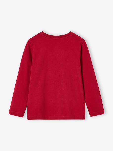 Jongensshirt met lange mouwen antraciet+cappuccino+rood+saliegroen+wit - vertbaudet enfant 