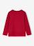 Jongensshirt met lange mouwen antraciet+cappuccino+rood+saliegroen+wit - vertbaudet enfant 