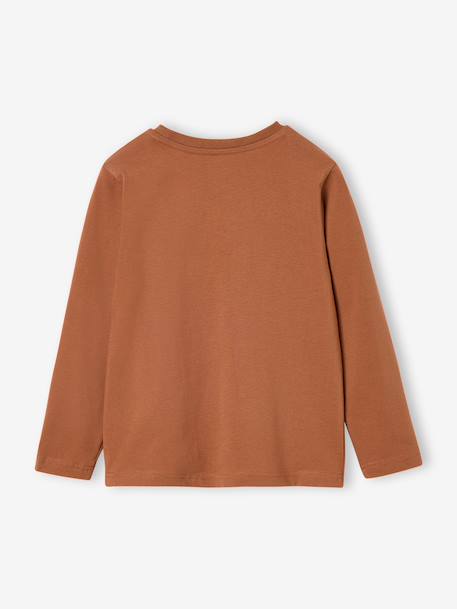 Jongensshirt met lange mouwen antraciet+cappuccino+rood+saliegroen+wit - vertbaudet enfant 