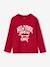 Jongensshirt met lange mouwen antraciet+cappuccino+rood+saliegroen+wit - vertbaudet enfant 