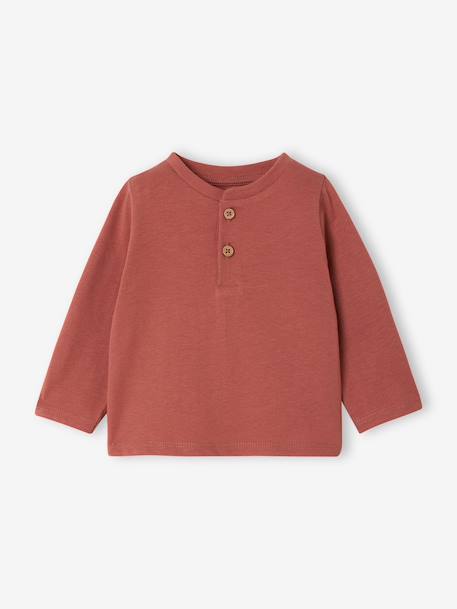 Set van 3 T-shirts Basics van biokatoen baby pecannoot+terracotta - vertbaudet enfant 