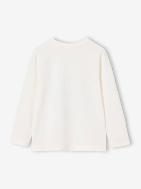 Jongensshirt met lange mouwen antraciet+cappuccino+rood+saliegroen+wit - vertbaudet enfant 