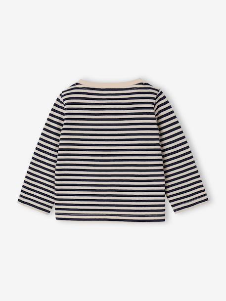 Set van 3 T-shirts Basics van biokatoen baby pecannoot+terracotta - vertbaudet enfant 