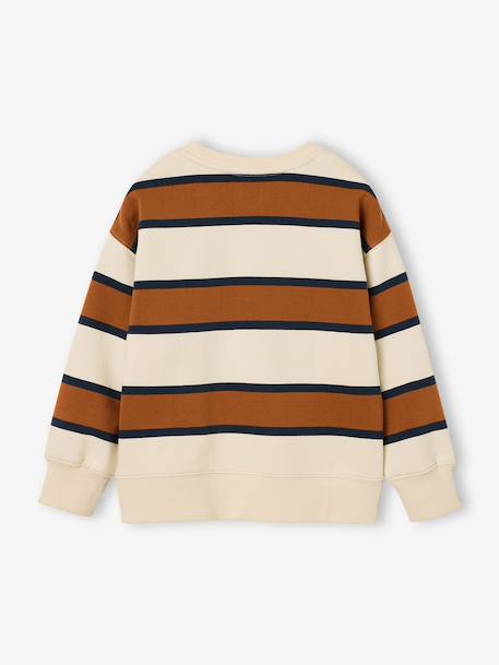 Jongenssweater met ronde hals hazelnoot+marineblauw+pistache - vertbaudet enfant 