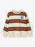 Jongenssweater met ronde hals hazelnoot+marineblauw+pistache - vertbaudet enfant 