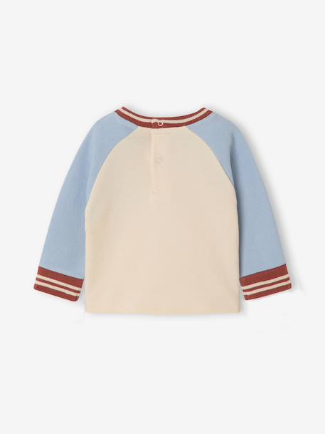 Babyjongens T-shirt met lange mouwen grijsblauw+vanille - vertbaudet enfant 