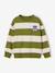 Jongenssweater met ronde hals hazelnoot+marineblauw+pistache - vertbaudet enfant 