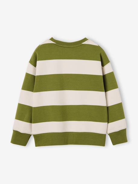 Jongenssweater met ronde hals hazelnoot+marineblauw+pistache - vertbaudet enfant 