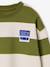 Jongenssweater met ronde hals hazelnoot+marineblauw+pistache - vertbaudet enfant 