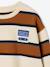 Jongenssweater met ronde hals hazelnoot+marineblauw+pistache - vertbaudet enfant 