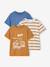 Set van 3 T-shirt met korte mouwen amandelgroen+karamel+marineblauw+pecannoot+petrolblauw+saliegroen - vertbaudet enfant 