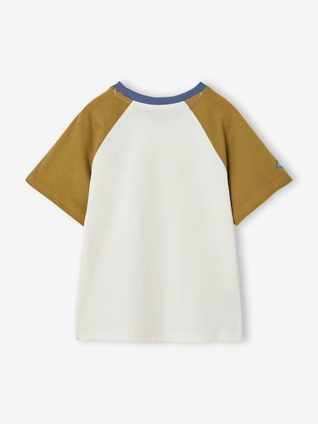 Jongens T-shirt met raglanmouwen kaki - vertbaudet enfant 