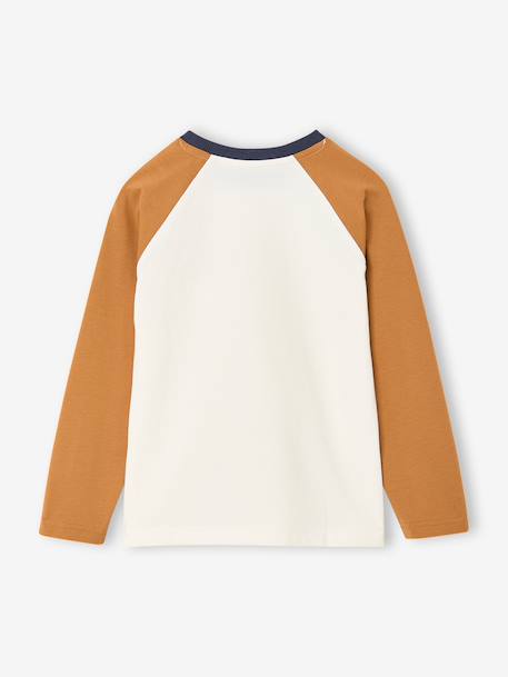 Jongensshirt met lange mouwen bordeauxrood+okergeel+saliegroen - vertbaudet enfant 