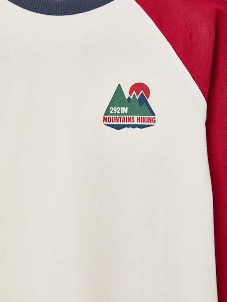 Jongensshirt met lange mouwen bordeauxrood+okergeel+saliegroen - vertbaudet enfant 