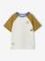 Jongens T-shirt met raglanmouwen kaki - vertbaudet enfant 