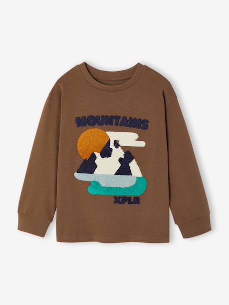 Jongensshirt met lange mouwen hazelnoot+marineblauw - vertbaudet enfant 