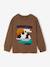 Jongensshirt met lange mouwen hazelnoot+marineblauw - vertbaudet enfant 