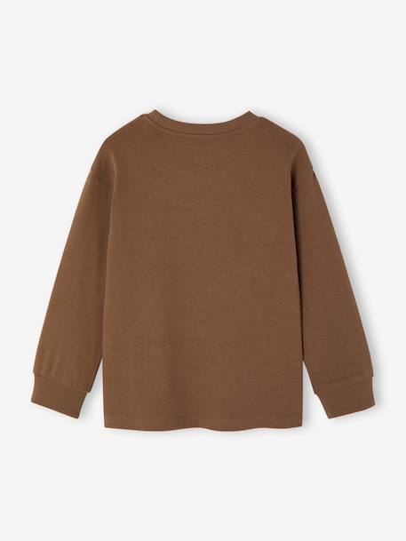 Jongensshirt met lange mouwen hazelnoot+marineblauw - vertbaudet enfant 