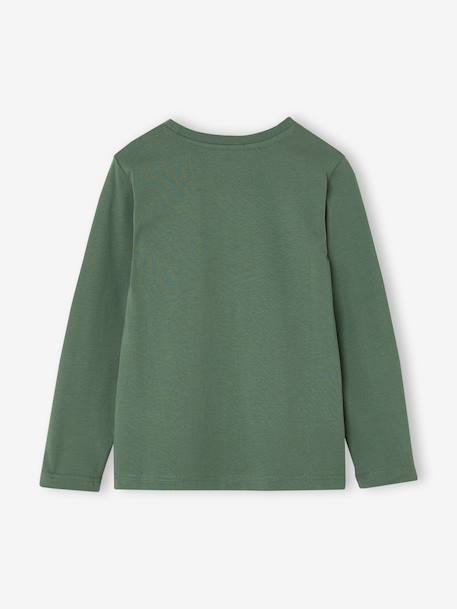 Jongensshirt met lange mouwen antraciet+cappuccino+rood+saliegroen+wit - vertbaudet enfant 