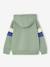 Sweater met capuchon met geplaatste print gemêleerd wit+marineblauw+pecannoot+saliegroen+wit - vertbaudet enfant 