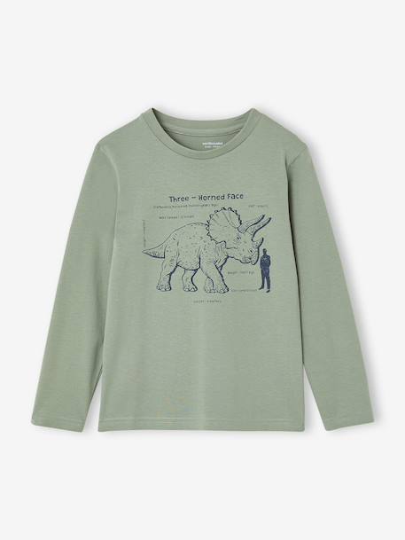 Set van 3 jongensshirts met lange mouwen karamel+lila+roest+saliegroen - vertbaudet enfant 