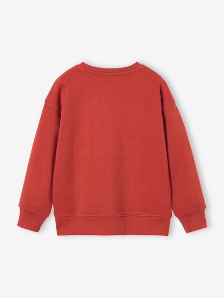 Sweatshirt met ronde hals voor jongens marineblauw+terracottategel - vertbaudet enfant 