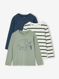 -Set van 3 jongensshirts met lange mouwen