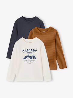 -Set van 3 jongensshirts met lange mouwen